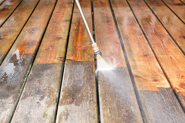 Best House Exterior Washing  in Genoa City, WI